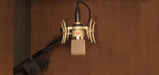 Neumann TLM 102 microphone